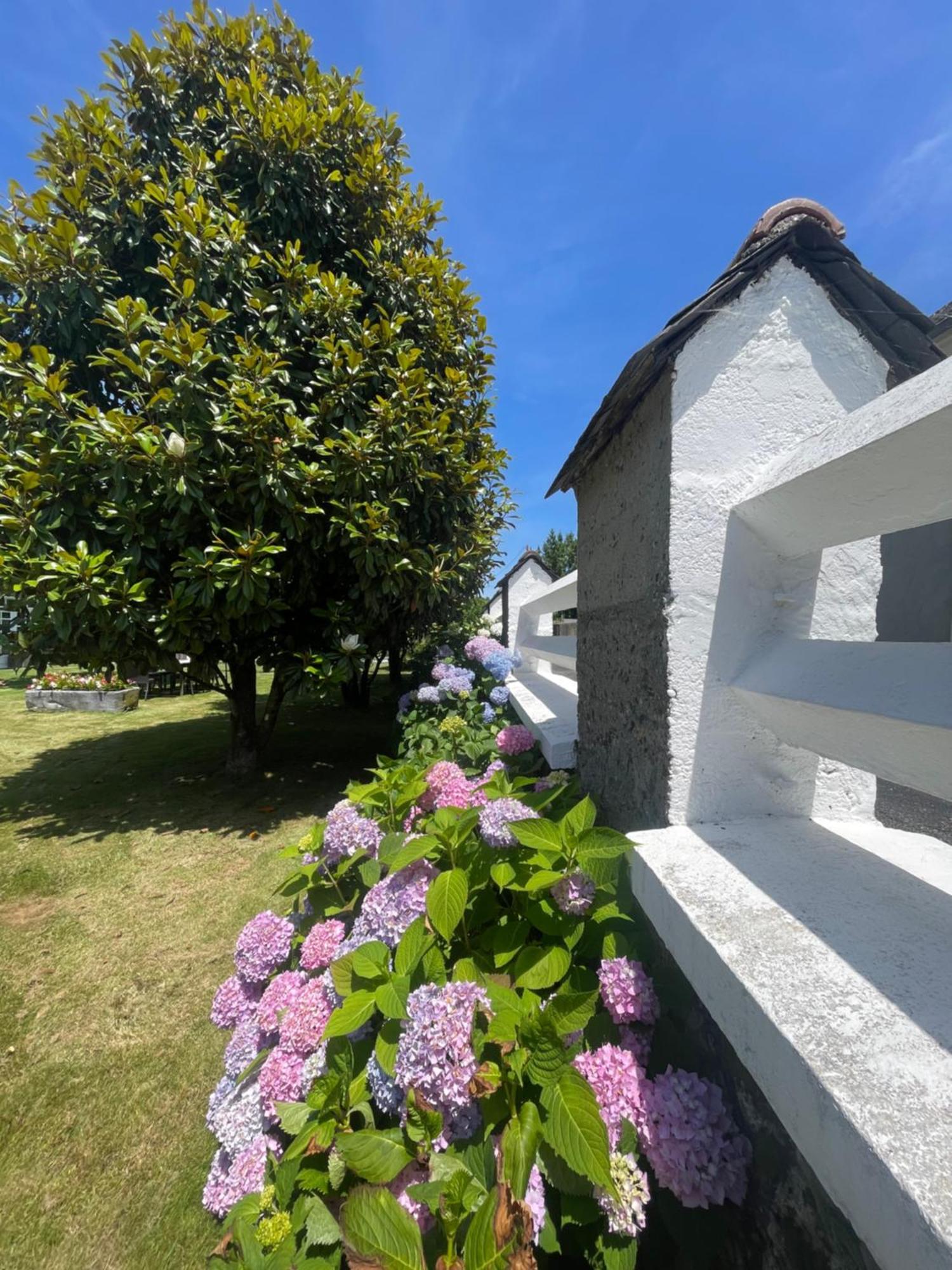 Les Hortensias Espoey Exteriör bild